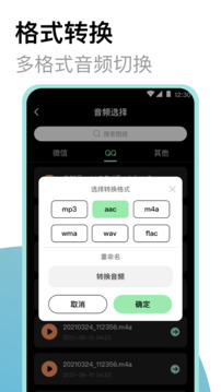 專業(yè)錄音機(jī)截圖