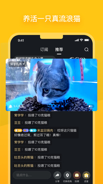 街貓截圖