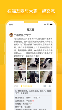 街貓截圖