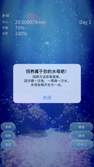 养育水母的治愈截图1