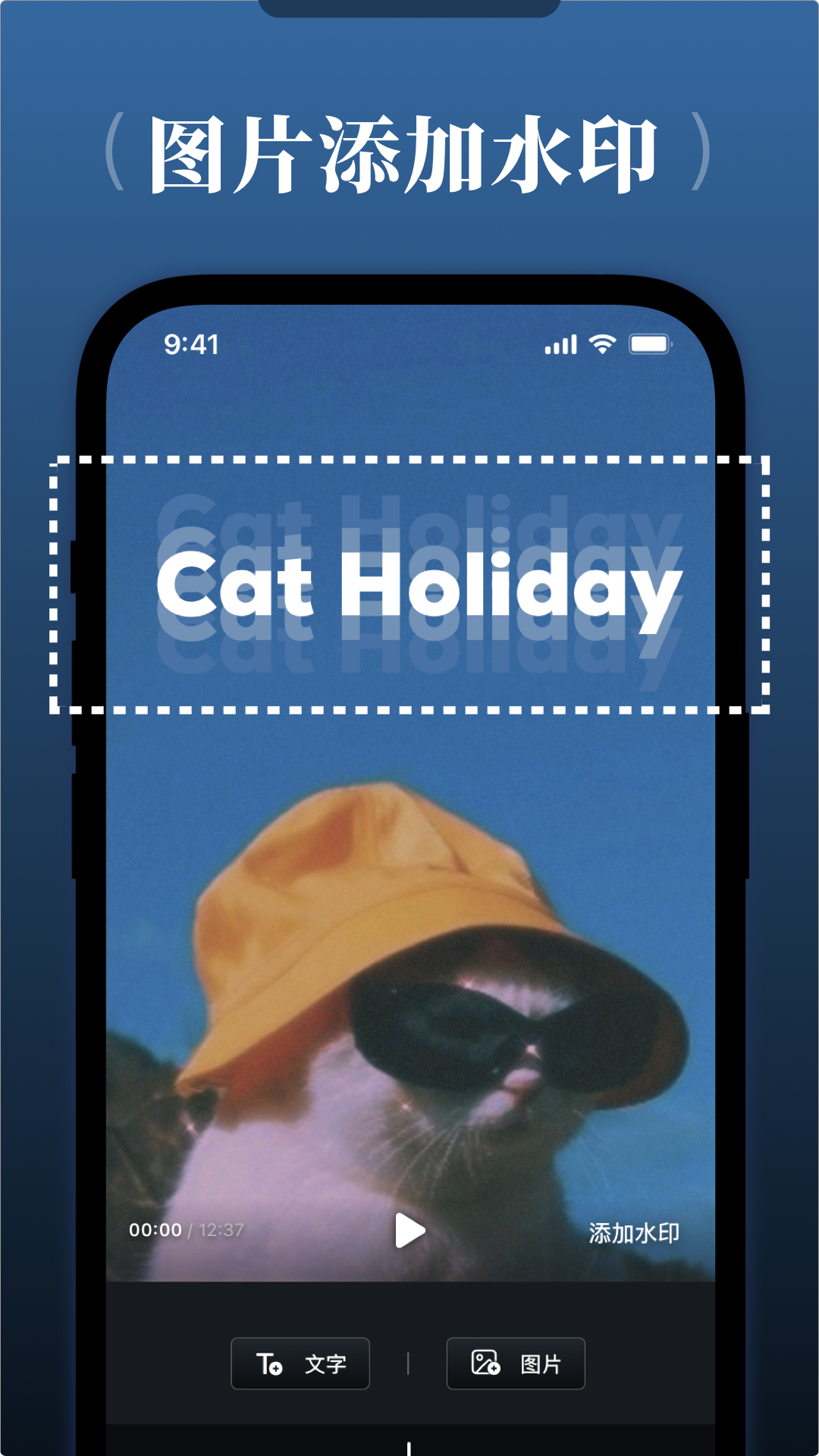 短視頻去水印截圖預(yù)覽