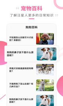 狗語翻譯工具截圖