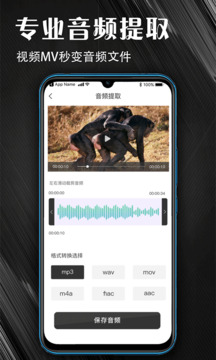 MP3音頻提取器截圖
