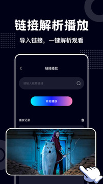 藍(lán)莓視頻播放器截圖