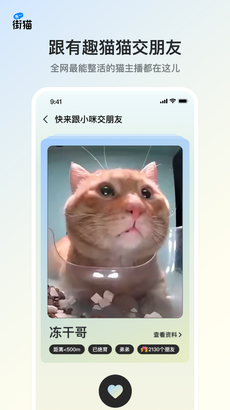 街猫v1.19.5截图4