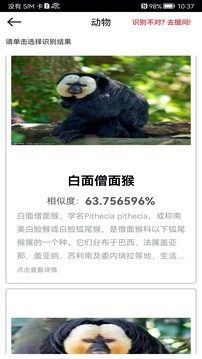 拍照識(shí)物截圖