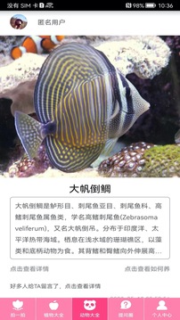 拍照識(shí)物截圖