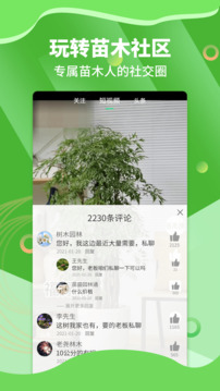 苗木通截圖