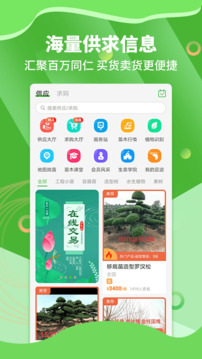 苗木通截圖