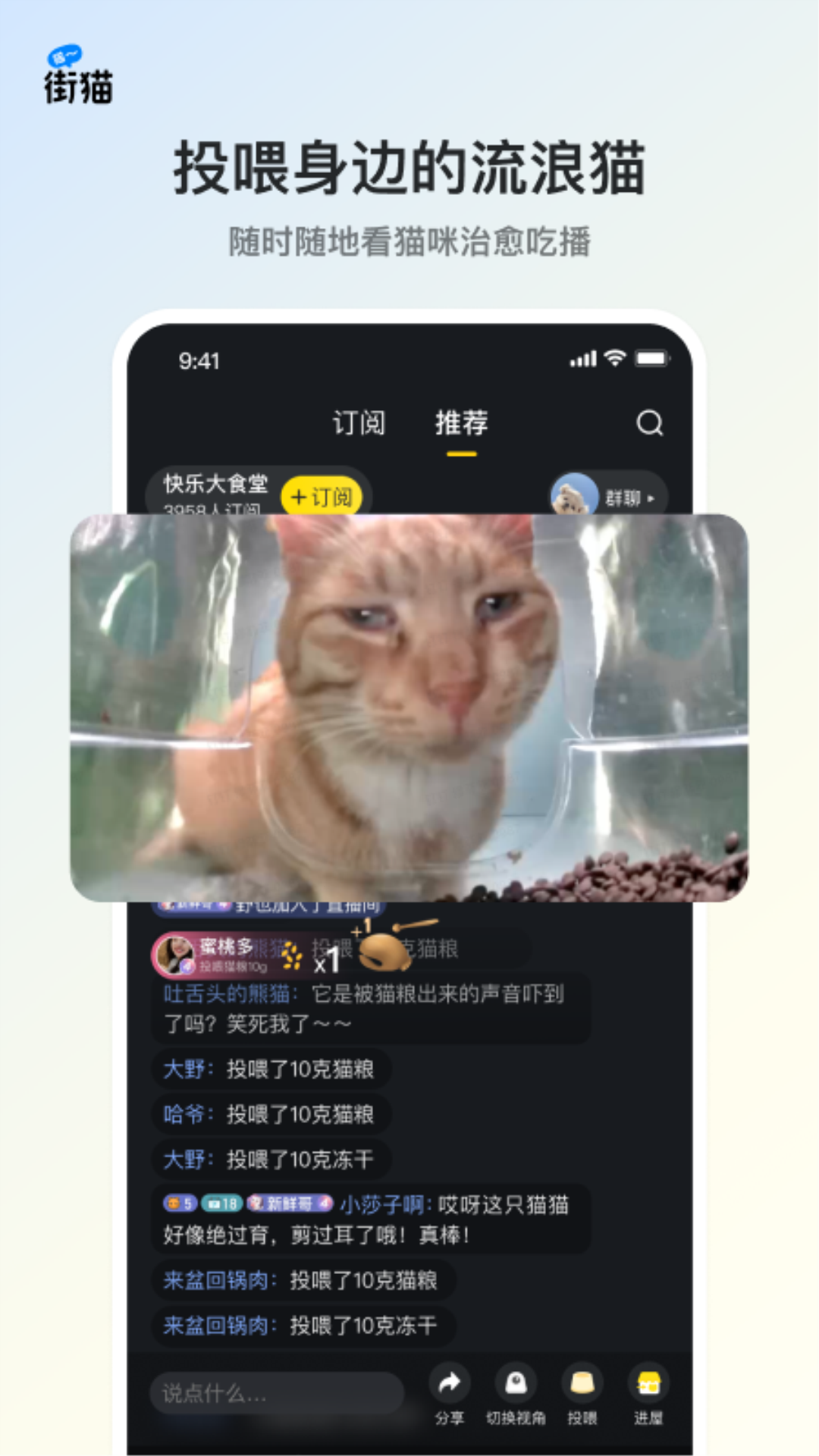 街猫v1.19.6截图5