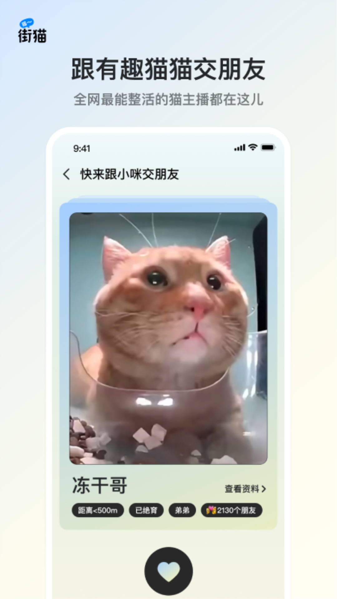 街猫v1.19.6截图4