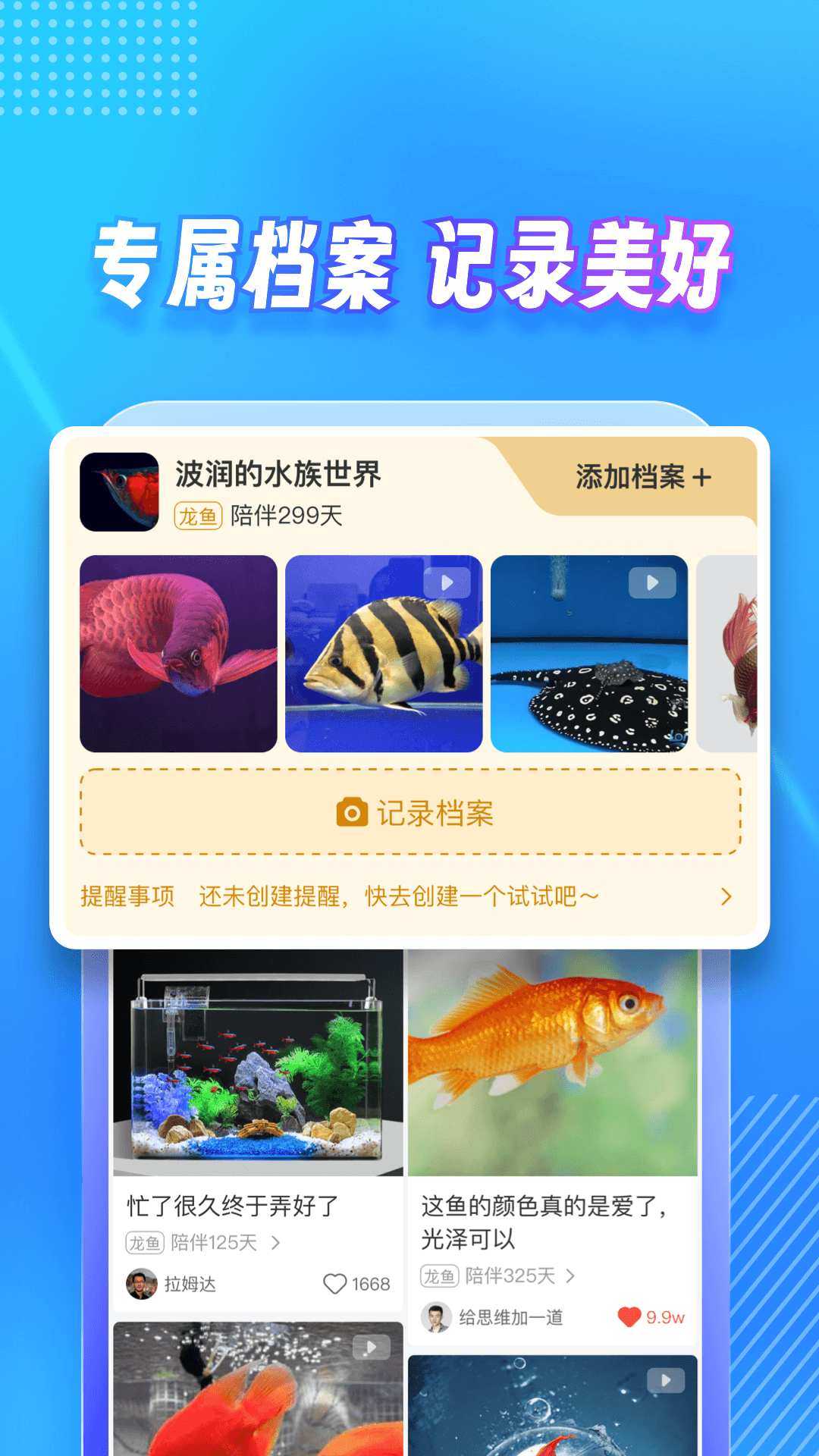 龙巅v7.0.4截图2