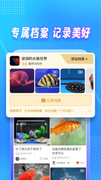 龍巔截圖