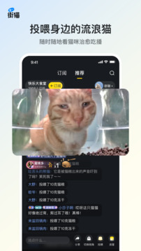 街貓截圖