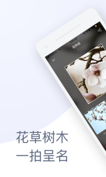 花伴侶截圖