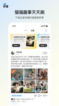 街貓截圖