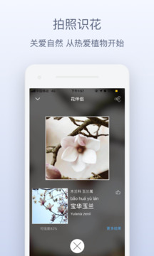 花伴侶截圖