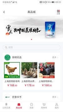 立码见真截图