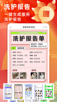 寵老板截圖