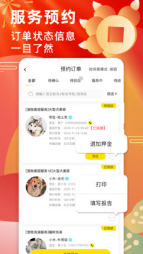 寵老板截圖