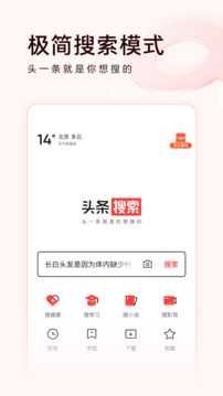 頭條搜索極速版截圖