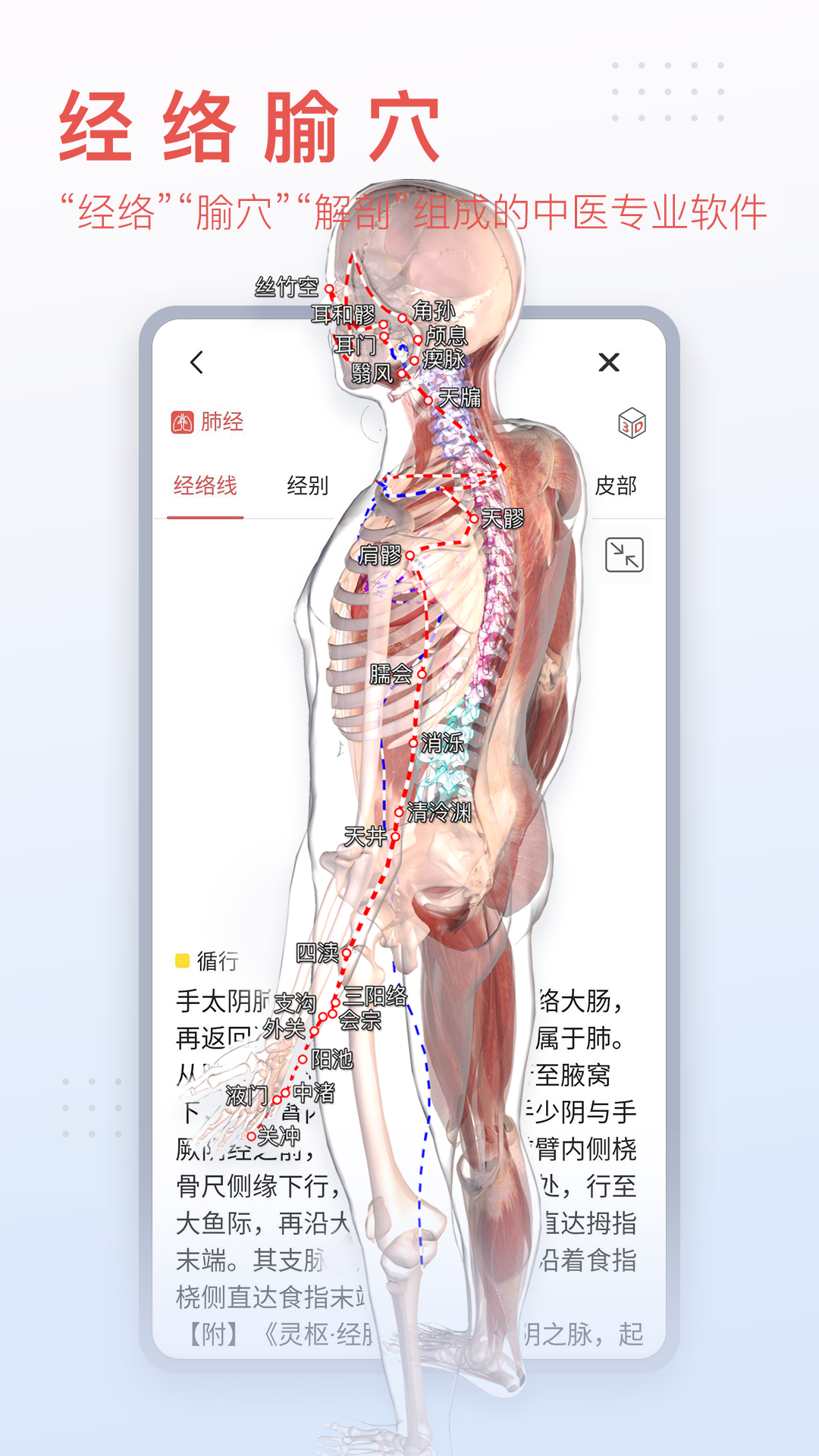 3DBody解剖截圖預(yù)覽