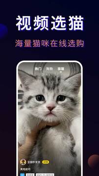 寵物寶截圖