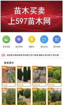 597苗木网截图