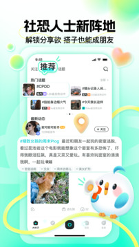 皮雀截圖