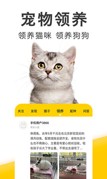 有只寵物截圖