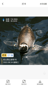 打卡定位截图