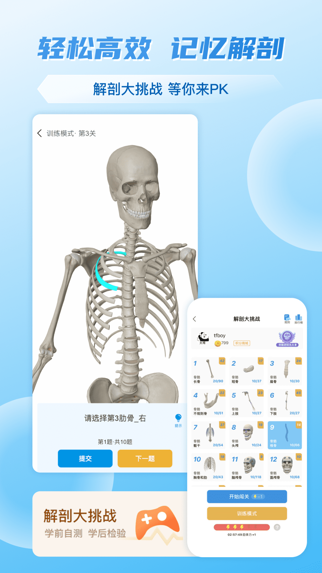 维萨里3D解剖截图2