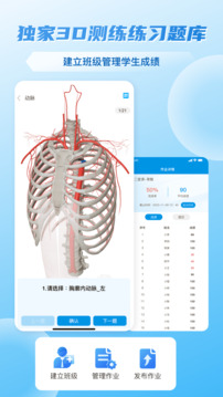 维萨里3D解剖截图