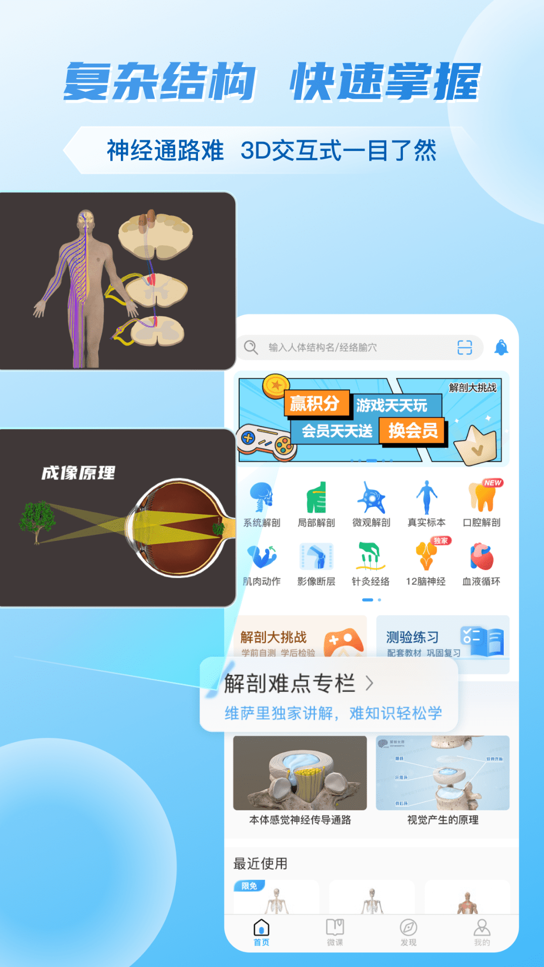 维萨里3D解剖截图3