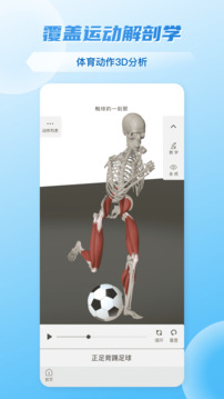 維薩里3D解剖3