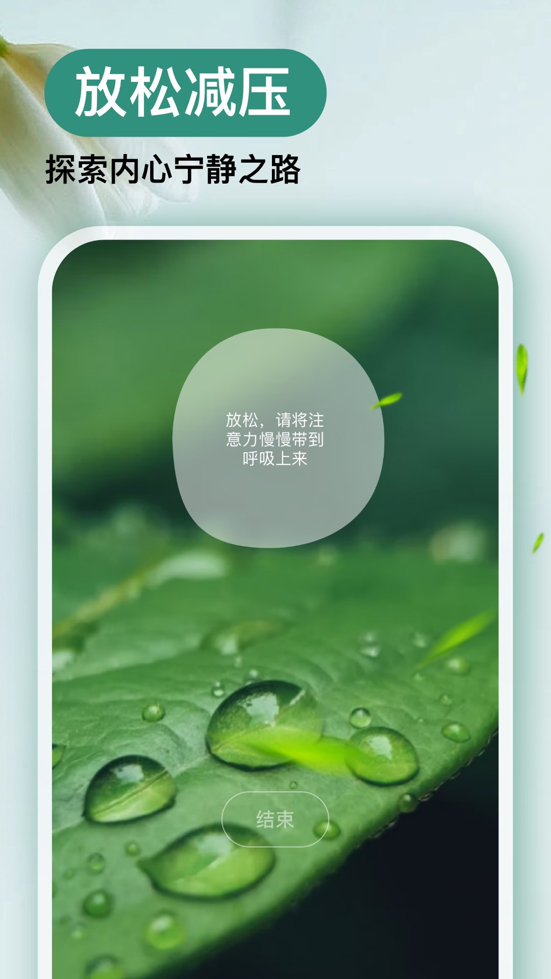 Now冥想v4.7.7截图2