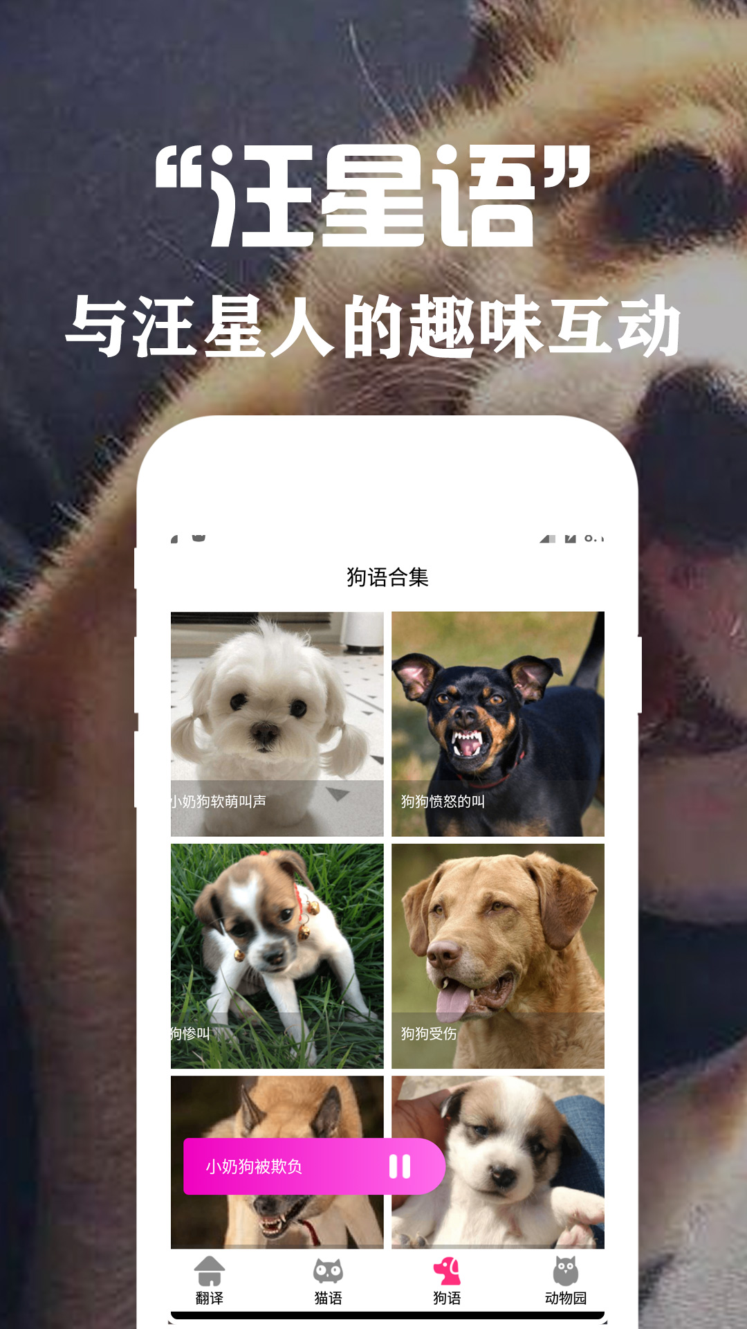 狗语翻译交流器截图3