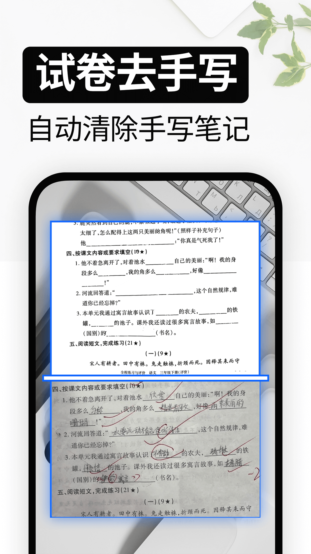 试卷还原截图2