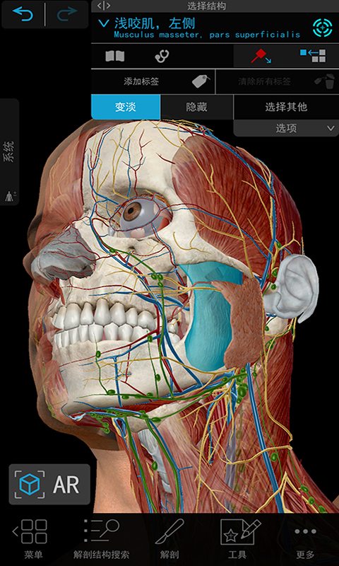 3D人体解剖截图1