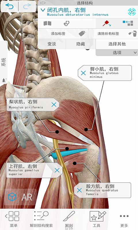 3D人体解剖截图2