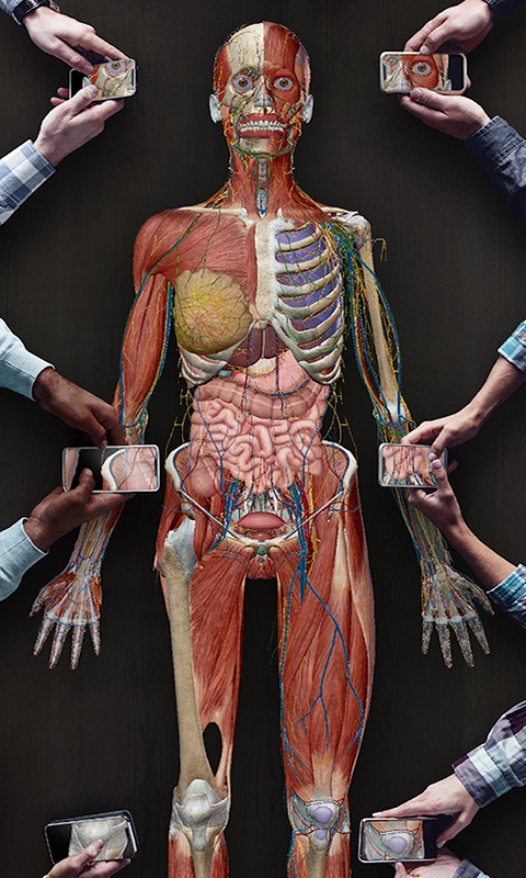 3D人体解剖截图5