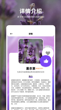 識物截圖