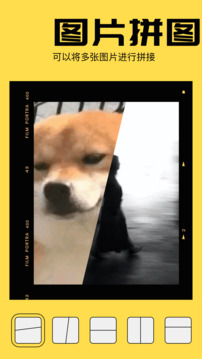 動圖表情包截圖
