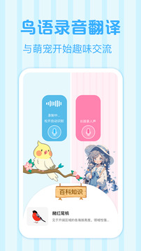 鳥語翻譯王截圖