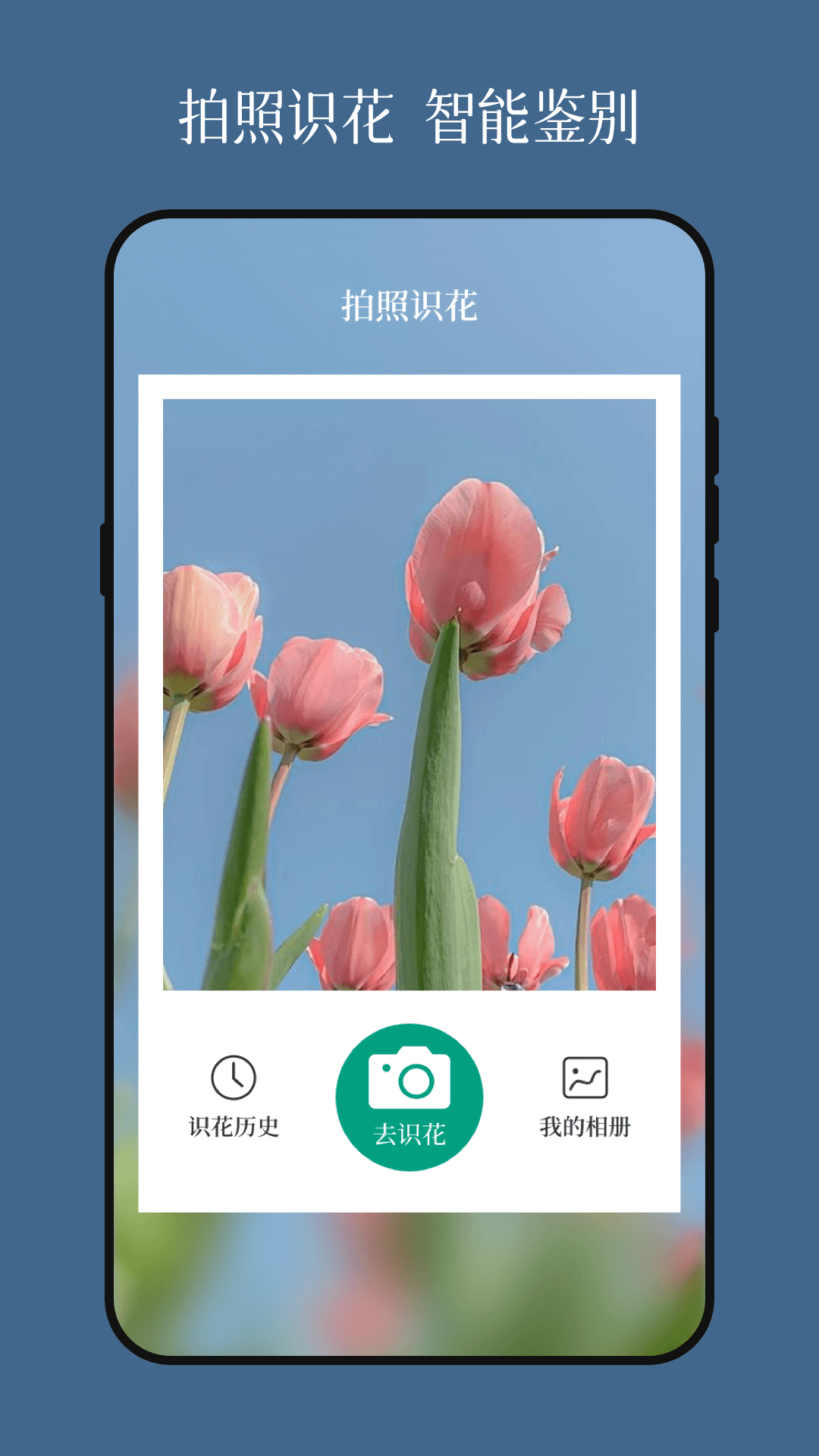 花草識別截圖預(yù)覽