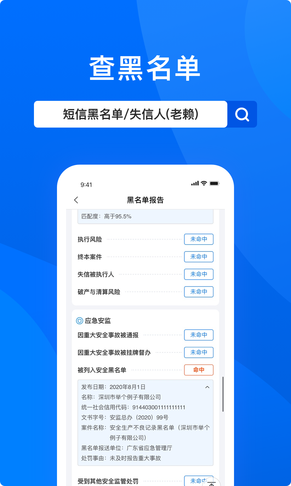 信用查詢截圖預(yù)覽