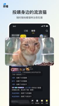 街貓截圖