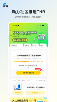 街貓截圖