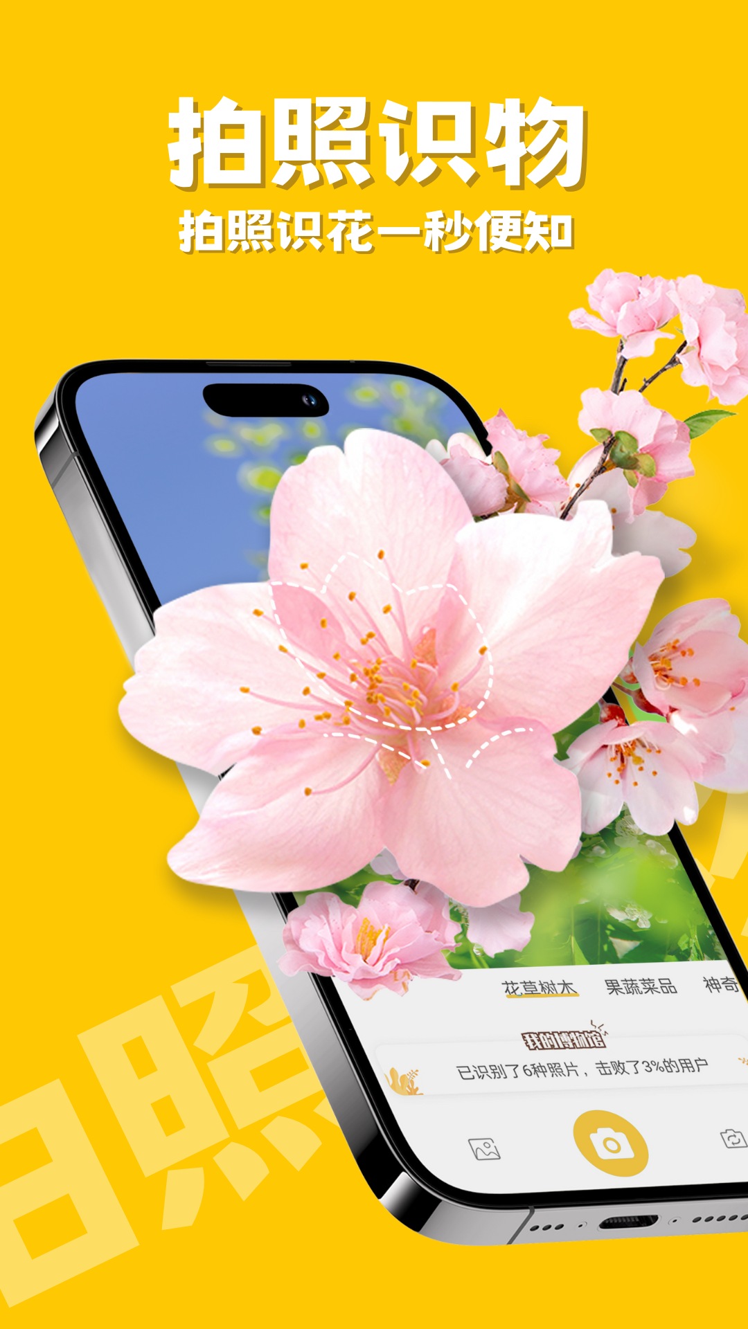 拍照識(shí)物截圖預(yù)覽