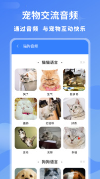 小白交流翻譯截圖